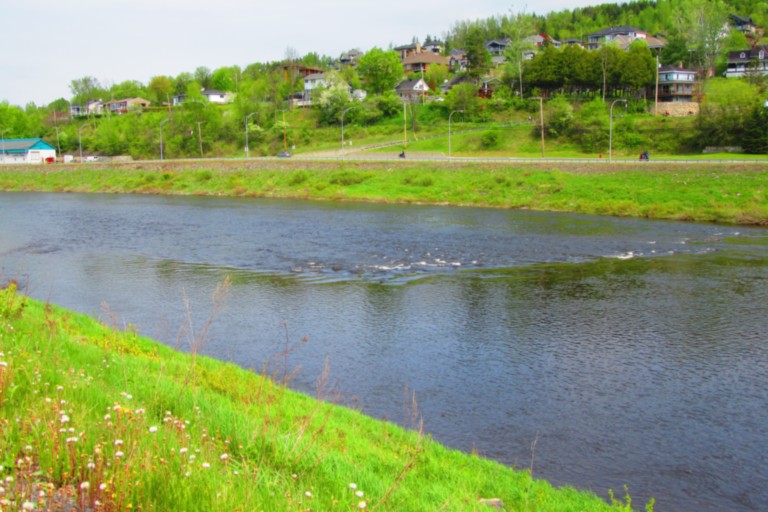 La rivière Chaudière 